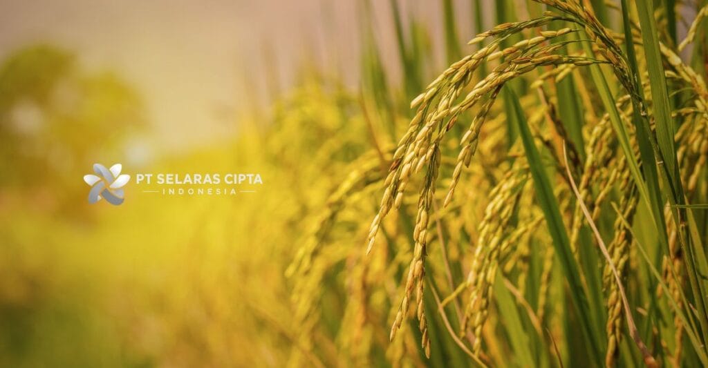 Pellet Sekam Padi Sebagai Alternatif Wood Pellet