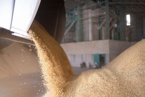 tempat produksi pelet sekam padi