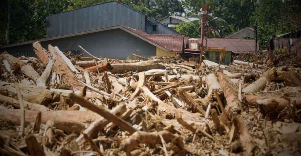 kerusakan alam akibat penebangan kayu