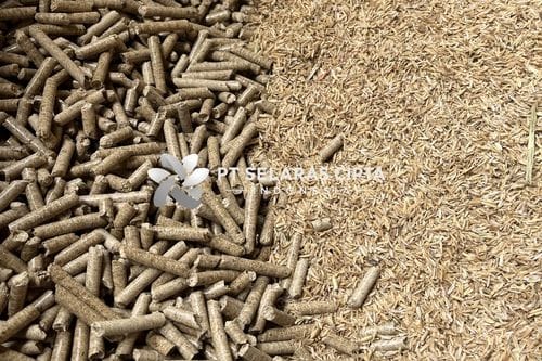 produk pellet sekam padi pt scl